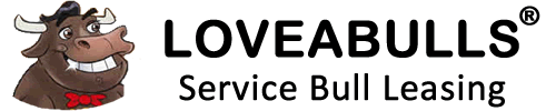 LOVEABULLS® - Service Bull Leasing