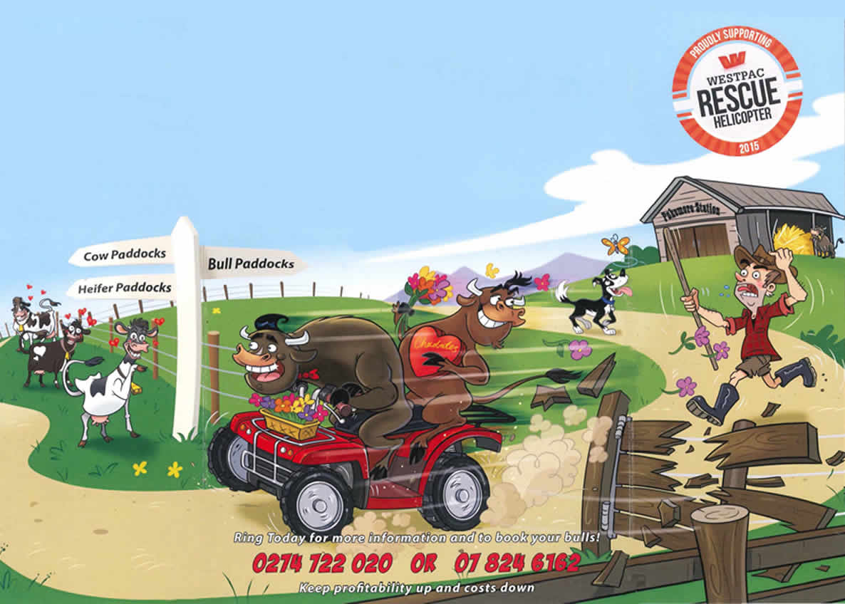 LOVEABULLS® Cartoon - Service Bulls on a 4x4 bike chasing heifers